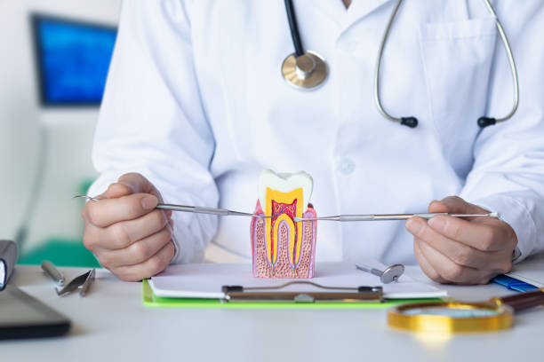 Best Emergency Root Canal Treatment in Rockford, MN